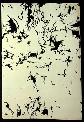 BR MTAPMT SG-CA-0778 2