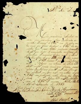 BR MTAPMT SG-CA-3065 1