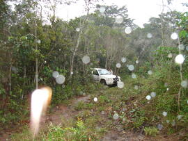BR MT APMT.JRC.SM.PRF.0212 14