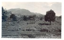 BR MTAPMT COL-200-210-211-00038 1