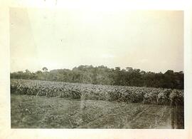 BR MTAPMT COL-200-210-211-00013 1