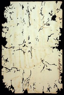 BR MTAPMT SG-CA-0079 4