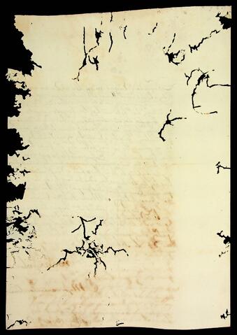 Open original Document numérique