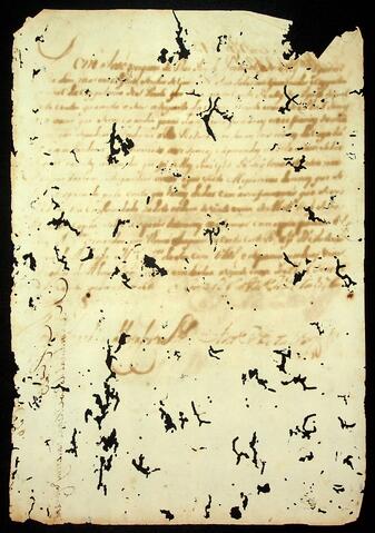 Open original Document numérique