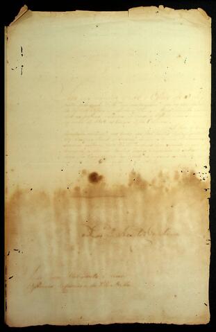 Open original Document numérique