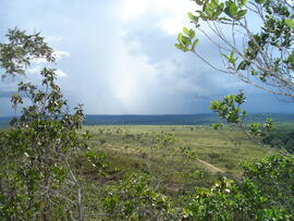 BR MT APMT.JRC.SM.PRF.0214 21