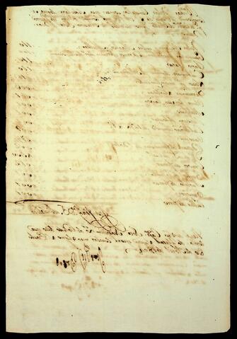 Open original Document numérique