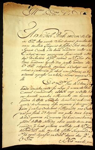 Open original Document numérique