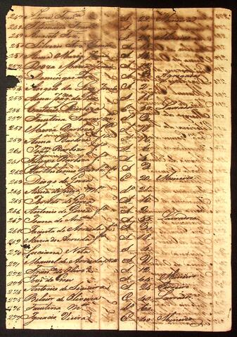 Open original Document numérique