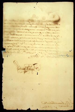 Open original Document numérique