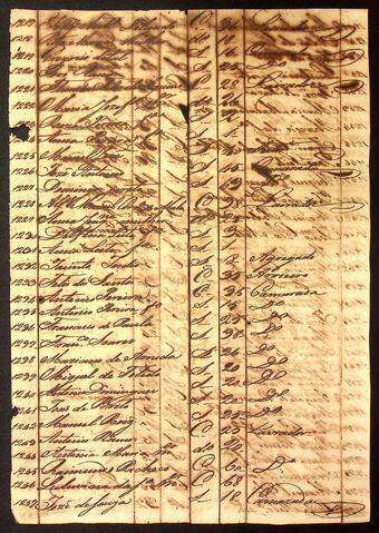 Open original Document numérique