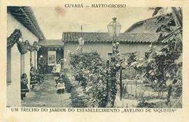 BR MTAPMT COL-900-950-951-951.1-00001 1