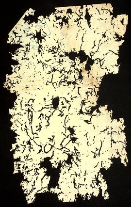 BR MTAPMT QM-DR-CA-0023 10