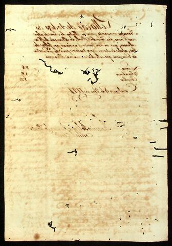 Open original Document numérique