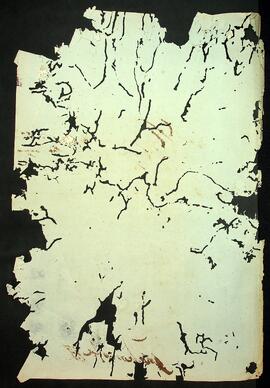 BR MTAPMT SG-CA-1589 4