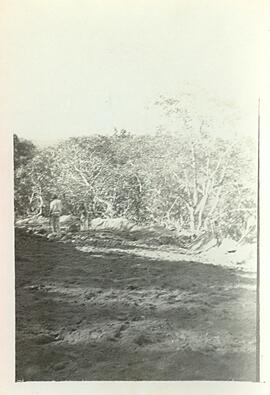 BR MTAPMT COL-200-250-251-00012 1