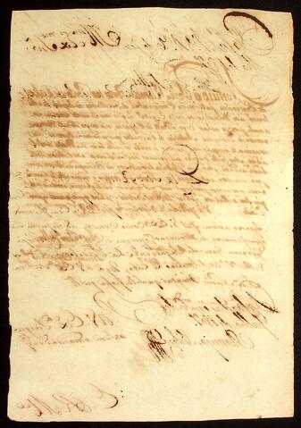 Open original Document numérique