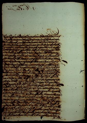 Open original Document numérique