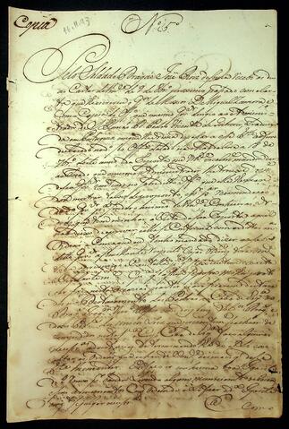 Open original Document numérique