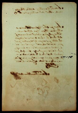 Open original Document numérique