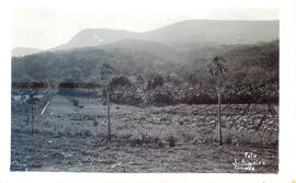 BR MTAPMT COL-200-210-211-00024 1