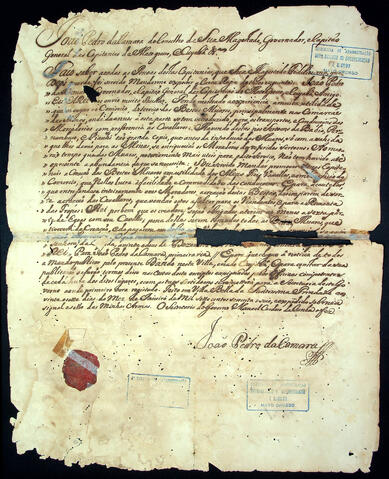 Open original Document numérique