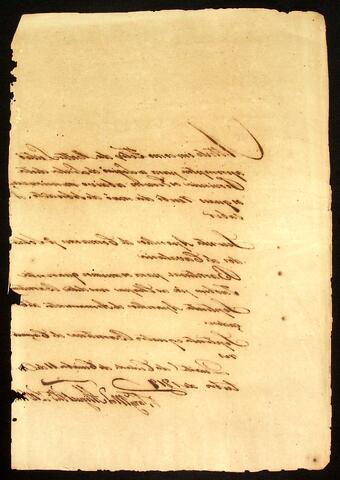 Open original Document numérique