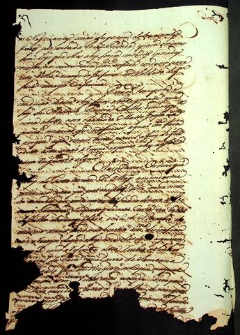 Open original Document numérique