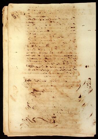 Open original Document numérique