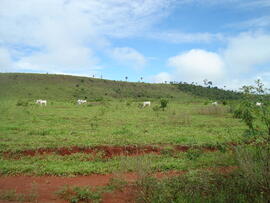 BR MT APMT.JRC.SM.PRF.0214 6