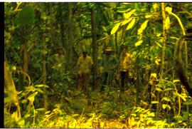 BR MT APMT.JRC.IT.FC.0199 4