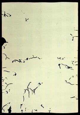 BR MTAPMT QM-TM-CA-1296 12