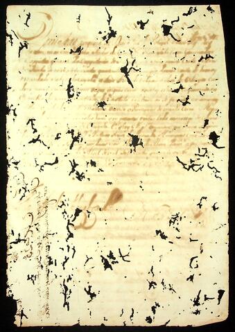 Open original Document numérique