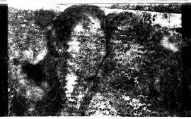 BR MTAPMT SCS-000-010-014-014.1-29502 1