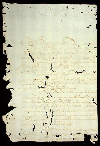Open original Document numérique