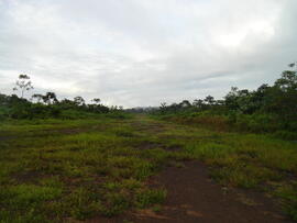 BR MT APMT.JRC.SM.PC.0204 18