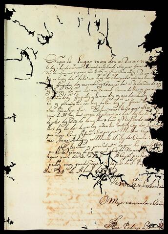 Open original Document numérique