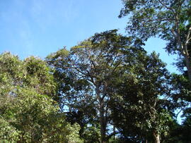 BR MT APMT.JRC.SM.PRF.0211 6