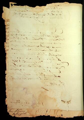 Open original Document numérique