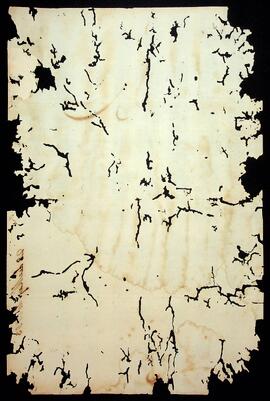 BR MTAPMT SG-CA-0079 3