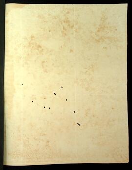 BR MTAPMT SG-AV-4209 3