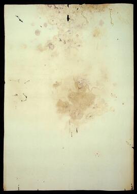 BR MTAPMT SG-RQ-0985 6