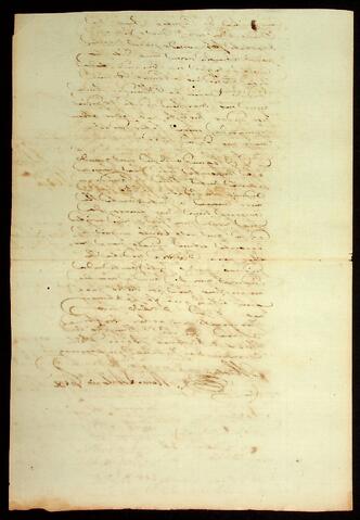 Open original Document numérique