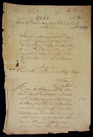 Open original Document numérique