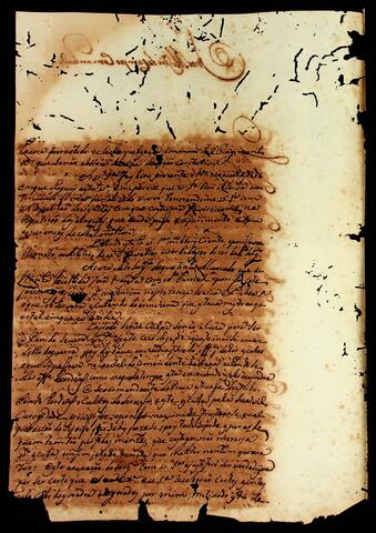 Open original Document numérique