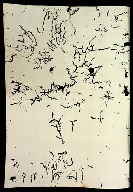 BR MTAPMT QM-TM-CA-1112 2