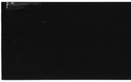 BR MTAPMT SCS-300-380-381-381.5-30185 48