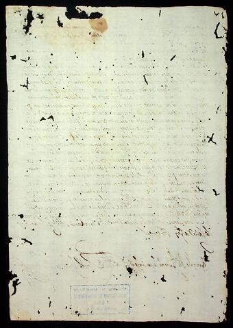 Open original Document numérique