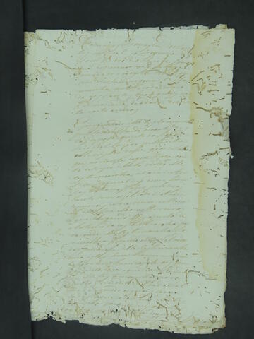 Open original Document numérique