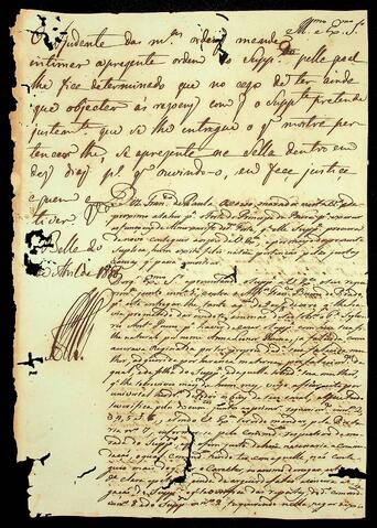 Open original Document numérique